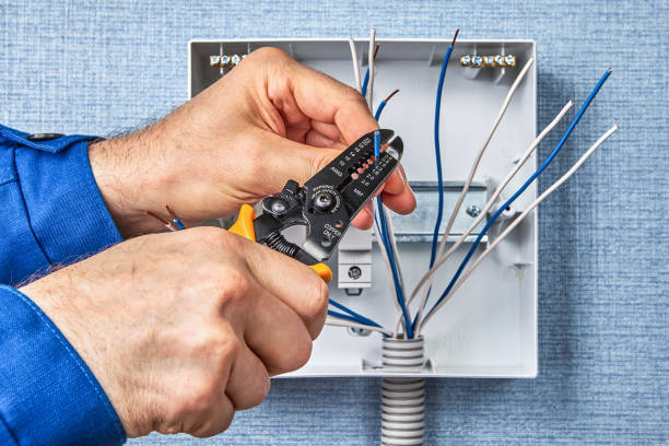 Best Electrical Panel Upgrades  in Robertsville, NJ